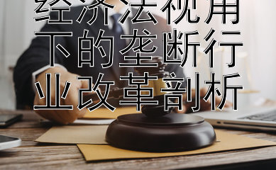 经济法视角下的垄断行业改革剖析