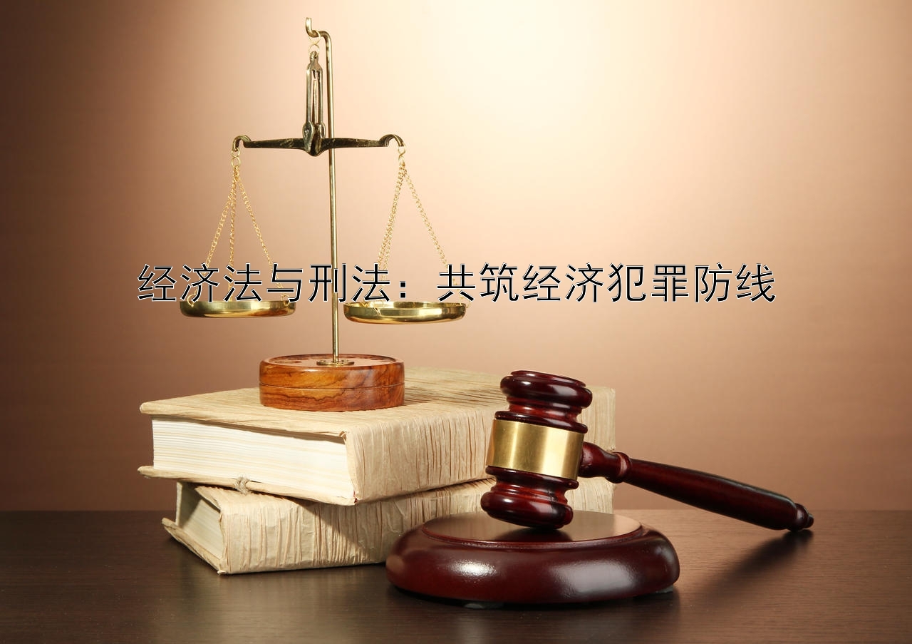 经济法与刑法：共筑经济犯罪防线