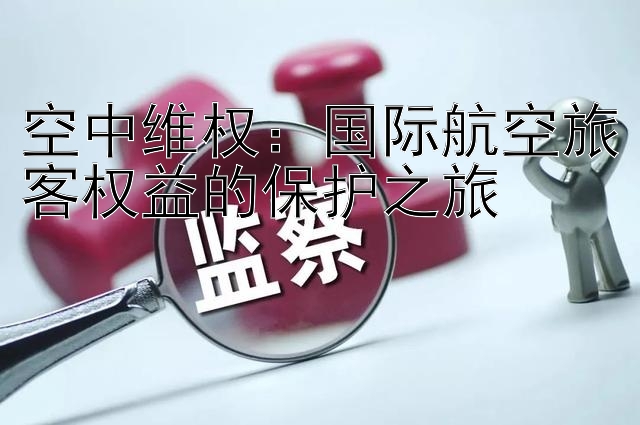 空中维权：国际航空旅客权益的保护之旅