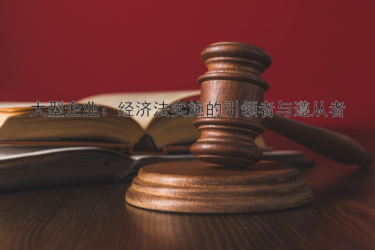 大型企业：经济法实施的引领者与遵从者