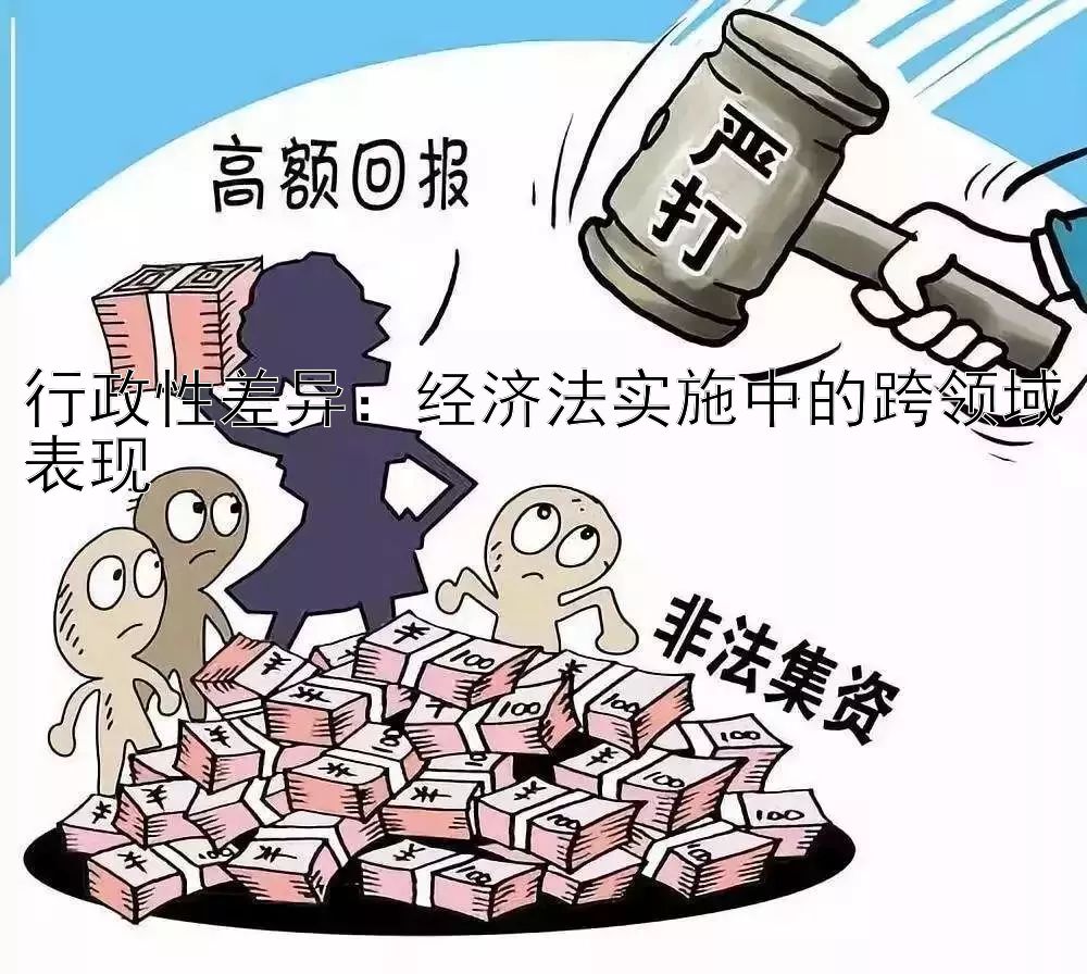 行政性差异：经济法实施中的跨领域表现