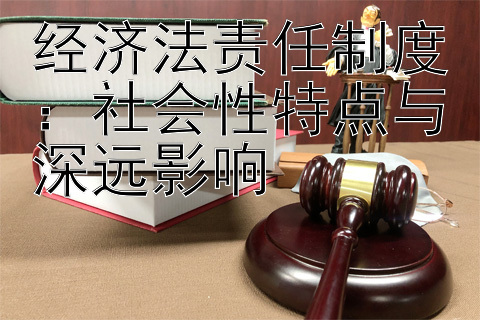 经济法责任制度：社会性特点与深远影响