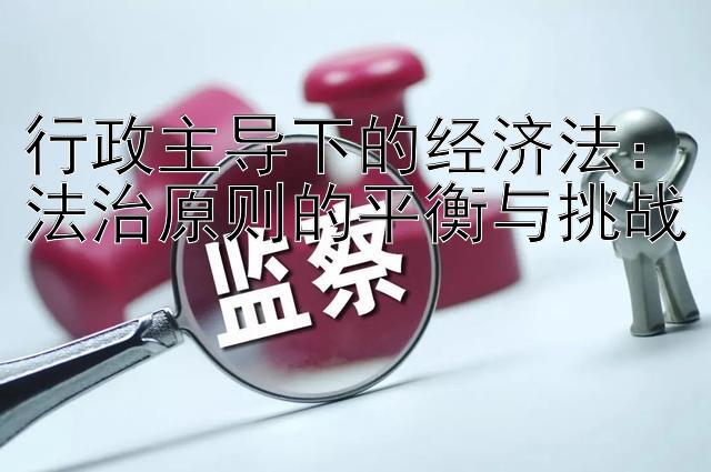 行政主导下的经济法：法治原则的平衡与挑战