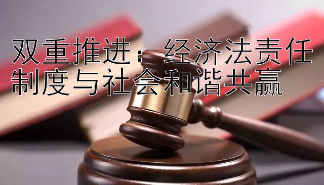 双重推进：经济法责任制度与社会和谐共赢