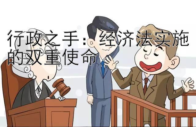 行政之手：经济法实施的双重使命