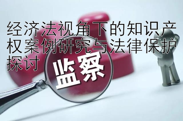 经济法视角下的知识产权案例研究与法律保护探讨