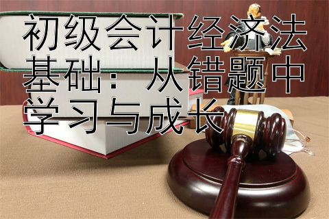 初级会计经济法基础：从错题中学习与成长