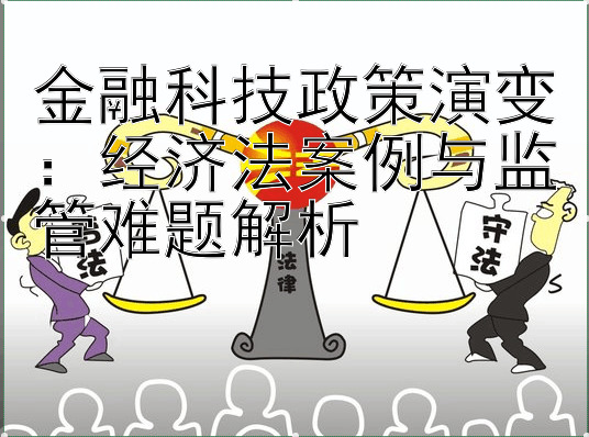 金融科技政策演变：经济法案例与监管难题解析