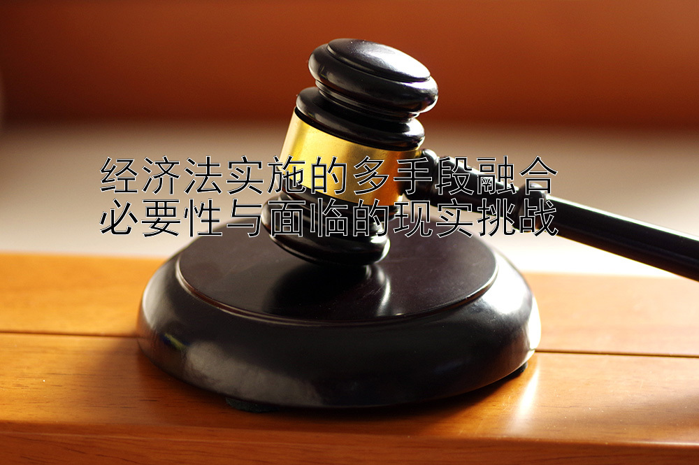 经济法实施的多手段融合  
必要性与面临的现实挑战